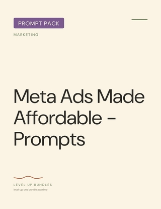 Meta Ads Made Affordable - Prompts
