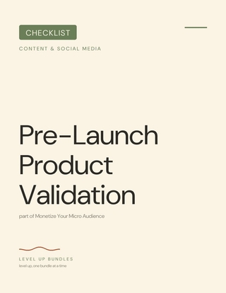 Pre-Launch Product Validation