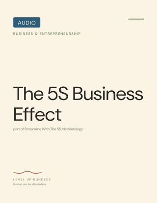 The 5S Business Effect