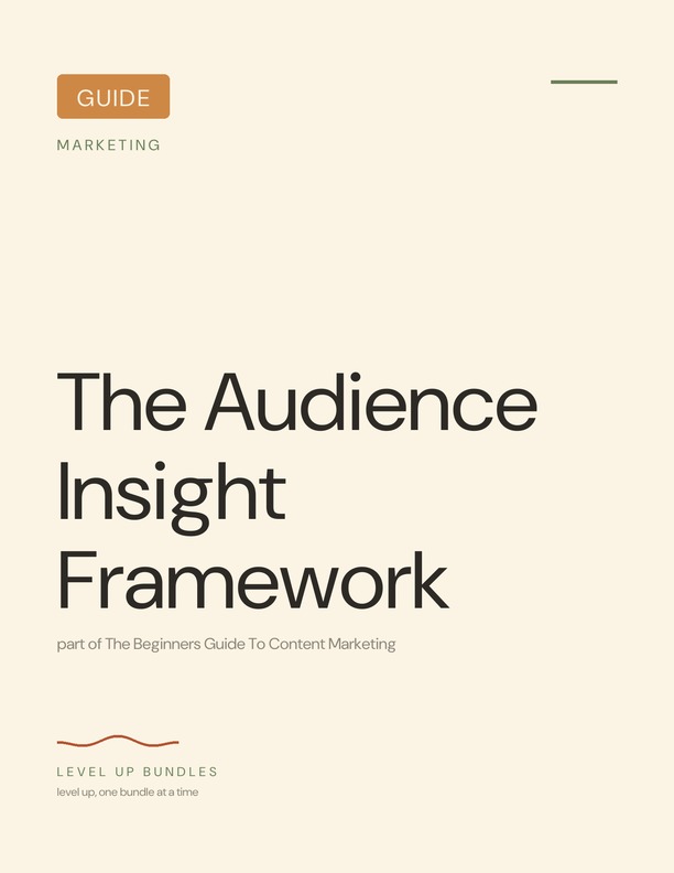 The Audience Insight Framework